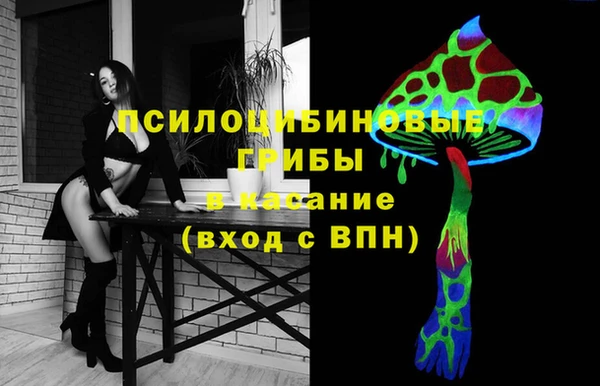 соль ск Алзамай