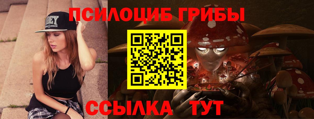 Череповец  Галлюциногенные грибы MAGIC MUSHROOMS  Вход с VPN 